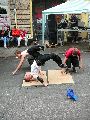Bunte Republik Neustadt-2010