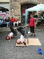 Bunte Republik Neustadt-2010
