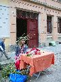 Bunte Republik Neustadt-2010