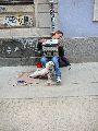 Bunte Republik Neustadt-2010