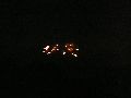 Feuerwerk anläßlich des Pieschener Hafen Festes