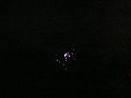 Feuerwerk anläßlich des Pieschener Hafen Festes