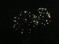 Feuerwerk anläßlich des Pieschener Hafen Festes