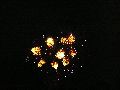 Feuerwerk anläßlich des Pieschener Hafen Festes