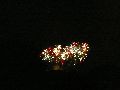 Feuerwerk anläßlich des Pieschener Hafen Festes