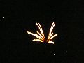 Feuerwerk anläßlich des Pieschener Hafen Festes