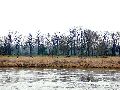 Spaziergang zwischen Pieschen-Flügelwegbrücke, längs der Elbe