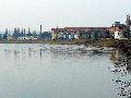 Spaziergang zwischen Pieschen-Flügelwegbrücke, längs der Elbe