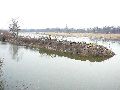 Spaziergang zwischen Pieschen-Flügelwegbrücke, längs der Elbe
