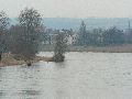 Spaziergang zwischen Pieschen-Flügelwegbrücke, längs der Elbe
