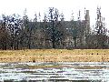 Spaziergang zwischen Pieschen-Flügelwegbrücke, längs der Elbe