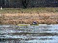 Spaziergang zwischen Pieschen-Flügelwegbrücke, längs der Elbe