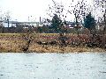 Spaziergang zwischen Pieschen-Flügelwegbrücke, längs der Elbe