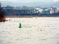 Spaziergang zwischen Pieschen-Flügelwegbrücke, längs der Elbe