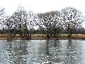 Spaziergang zwischen Pieschen-Flügelwegbrücke, längs der Elbe