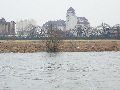 Spaziergang zwischen Pieschen-Flügelwegbrücke, längs der Elbe