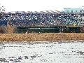 Spaziergang zwischen Pieschen-Flügelwegbrücke, längs der Elbe