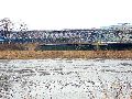 Spaziergang zwischen Pieschen-Flügelwegbrücke, längs der Elbe