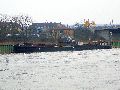 Spaziergang zwischen Pieschen-Flügelwegbrücke, längs der Elbe