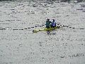 Spaziergang zwischen Pieschen-Flügelwegbrücke, längs der Elbe