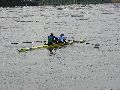 Spaziergang zwischen Pieschen-Flügelwegbrücke, längs der Elbe