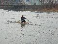 Spaziergang zwischen Pieschen-Flügelwegbrücke, längs der Elbe