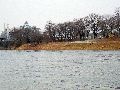 Spaziergang zwischen Pieschen-Flügelwegbrücke, längs der Elbe
