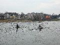 Spaziergang zwischen Pieschen-Flügelwegbrücke, längs der Elbe