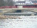 Spaziergang zwischen Pieschen-Flügelwegbrücke, längs der Elbe