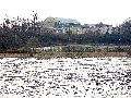 Spaziergang zwischen Pieschen-Flügelwegbrücke, längs der Elbe