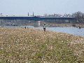 Spaziergang zwischen Pieschen-Flügelwegbrücke, längs der Elbe