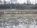 Spaziergang zwischen Pieschen-Flügelwegbrücke, längs der Elbe