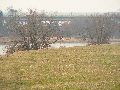 Spaziergang zwischen Pieschen-Flügelwegbrücke, längs der Elbe