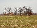 Spaziergang zwischen Pieschen-Flügelwegbrücke, längs der Elbe