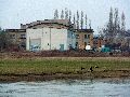 Spaziergang zwischen Pieschen-Flügelwegbrücke, längs der Elbe