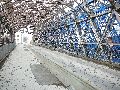 Spaziergang zwischen Pieschen-Flügelwegbrücke, längs der Elbe