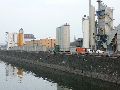 Spaziergang zwischen Pieschen-Flügelwegbrücke, längs der Elbe