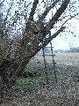 Spaziergang zwischen Pieschen-Flügelwegbrücke, längs der Elbe