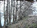 Spaziergang zwischen Pieschen-Flügelwegbrücke, längs der Elbe