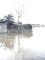 Elbhochwasser
