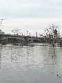 Elbhochwasser