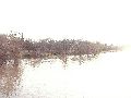 Elbhochwasser