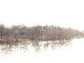 Elbhochwasser