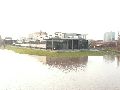 Elbhochwasser