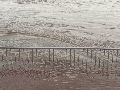 Elbhochwasser