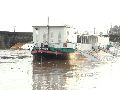 Elbhochwasser