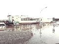 Elbhochwasser