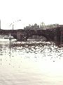 Elbhochwasser