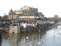 Elbhochwasser