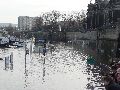 Elbhochwasser